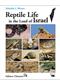 Reptile Life in the Land of Israel