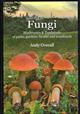 Fungi: Mushrooms & Toadstools of parks, gardens, heaths and woodlands
