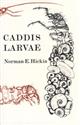Caddis Larvae