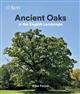 Ancient Oaks in the English landscape