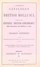 A Complete Catalogue of British Mollusca