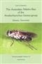 The Australian Stiletto-flies of the Anabarhynchus Genus-group (Diptera: Therevidae)