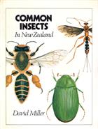 Common Insects in New Zealand
