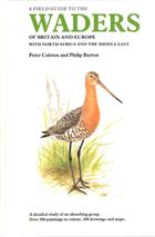 A Field Guide to the Waders of Britain and Europe with North Africa and the Middle East40+