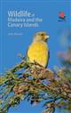 Wildlife of Madeira and the Canary Islands: A Photographic Field Guide to Birds, Mammals, Reptiles, Amphibians, Butterflies and Dragonflies