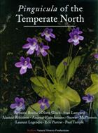 Pinguicula of the Temperate North