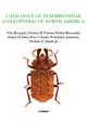 Catalogue of Tenebrionidae (Coleoptera) of North America