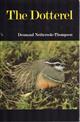 The Dotterel