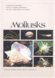 Common and Scientific Names of Aquatic Invertebrates from the United States and Canada: Mollusks
