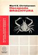 Crustacea Decapoda Brachyura