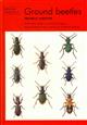 Ground Beetles (Naturalists' Handbooks 8)