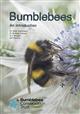 Bumblebees: An Introduction