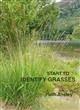 Start to Identify Grasses