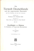 Diptera VI: Pilzmuecken oder Fungivoridae (Mycetophilidae) (Tierwelt Deutschlands 38)