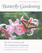 Butterfly Gardening: Creating Summer Magic in your Garden
