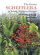 The Genus Schefflera in Sabah, Malaysian Borneo