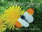 The Butterfly Collection: A poem for every British butterfly
