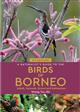 A Naturalists Guide to the Birds of Borneo