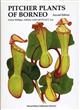 Pitcher-Plants of Borneo