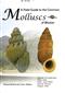 A Field guide to the Common Molluscs of Bhutan