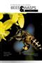 Field guide to the Bees and Wasps of Bhutan