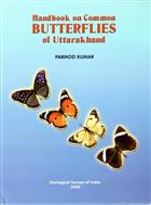 Handbook on Common Butterflies of Uttarakhand