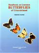 Handbook on Common Butterflies of Uttarakhand