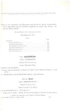 Report on the Arachnida and Myriapoda collected by the British Ornithologists' Union Expedition and the Wollaston Expedition in Dutch New Guinea