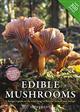 Edible Mushrooms: A forager's guide to the wild mushrooms of Britain and Europe
