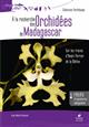 A la recherche des orchidées de Madagascar