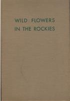 Wild Flowers in the Rockies