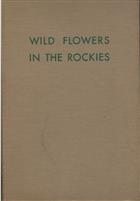 Wild Flowers in the Rockies