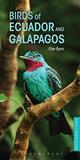 Birds of Ecuador and Galapagos