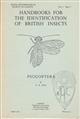 Psocoptera (booklice, barklice) (Handbooks for the Identification of British Insects 1/7)