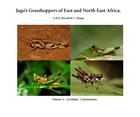 Jago's Grasshoppers of East and North East Africa Vol. 3: Acrididae: Catantopinae