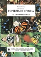 Common Butterflies of India