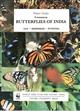Common Butterflies of India