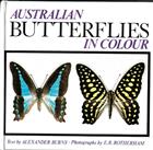 Australian Butterflies in Colour