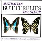 Australian Butterflies in Colour