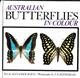 Australian Butterflies in Colour