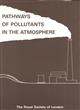 Pathways of Pollutants in the Atmosphere