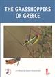 Grasshoppers of Greece