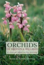 Orchids of Britain and Ireland: A Field and Site Guide