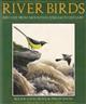 River Birds: Bird Life from Mountain Stream to Estuary