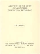 A Revision of the genus Canaea Walker (Lepidoptera, Thyrididae)