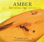 Amber: The Natural Time Capsule