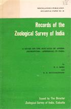 A Study on the Sexuales of Aphids (Homoptera: Aphididae) in India
