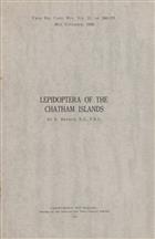 Lepidoptera of the Chatham Islands