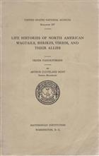 Life Histories of North American Wagtails, Shrikes, Vireos, and their Allies: Order Passeriformes
