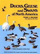 Ducks, Geese & Swans of North America